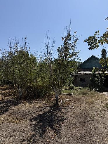 Продажа коттеджей и домов: 6 комнат и более, 150 м², 16 соток, Тынчтык, Собственник — 13