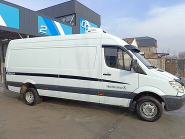 задняя подножка на спринтер: Mercedes-Benz Sprinter: 2007 г., 2.7 л, Механика, Дизель, Бус