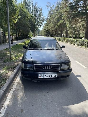 Audi: Audi 100: 1992 г., Седан — 1