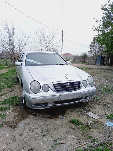 Mercedes-Benz: Mercedes-Benz E‑Class W210 sedan - Kuzov: sedan, gümüşü rəng - — 10