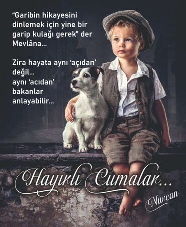 Pilləkən məhəccərləri: Dəmir qapı və məhəccər – bəzəkli sənətkarlıq işi - Material: qalın — 13