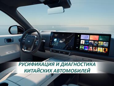 Другие аксессуары: Профессиональная дилерская диагностика и техническое обслуживание всех — 19