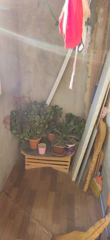 Köhnə tikili: Bakı, 2 otaqlı, Köhnə tikili, 55 kv. m — 20