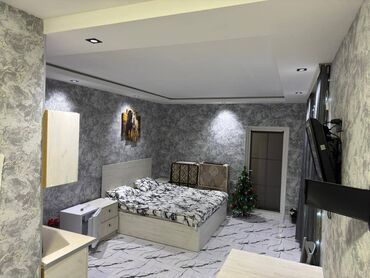 Günlük kirayə evlər: 40 kv. m, 1 otaqlı, Kombi, İşıq, Kanalizasiya — 6