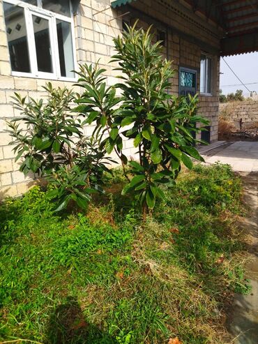 Həyət evləri və villaların satışı: 4 otaqlı, 120 kv. m, Yeni təmirli — 18