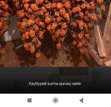 Sifarişlə hazır yeməklər: Məhsul: Xurma qurusu Təsvir: - Əl ilə yığılmış xurmalar ənənəvi