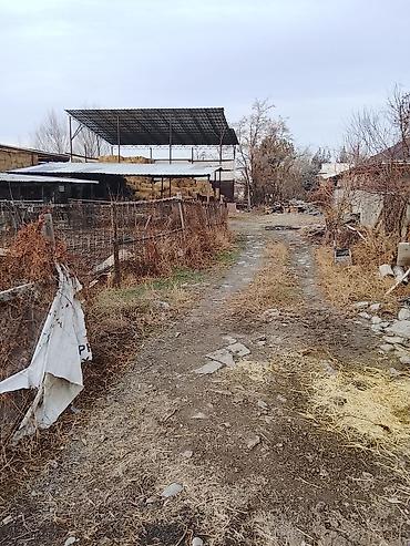 летние: Продаю дом село Новопокровка. Первая линия. 21.500соток. Дом 200кв — 7