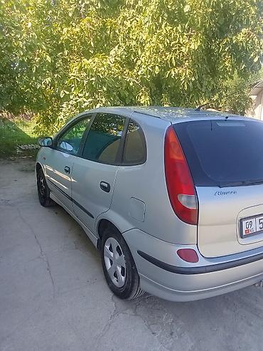 11 00r20: Nissan Almera Tino: 2001 г., 1.8 л, Механика, Купе — 4