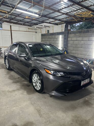 бампер камри 50 американец: Toyota Camry: 2020 г., 2.5 л, Автомат, Бензин, Седан
