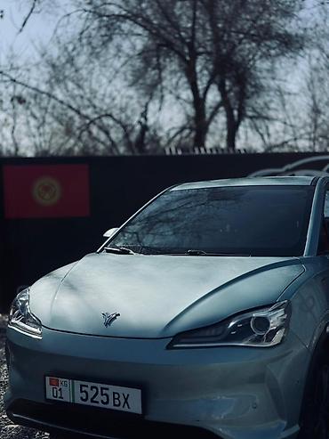 Другие автомобили: Нета в про — 12