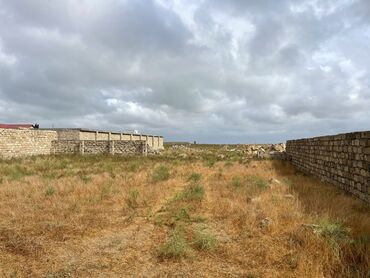 Torpaq sahələrinin satışı: 3 sot, Tikinti, Maklerlər narahat etməsin, Kupça (Çıxarış), Texniki pasport -da lalafo.az — 8 Torpaq sahələrinin satışı: 3 sot, Tikinti, Maklerlər narahat etməsin, Kupça (Çıxarış), Texniki pasport — 8