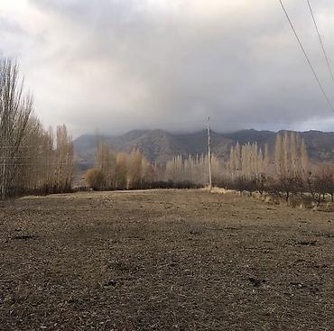 Продажа сельхоз предприятий: Продаётся сельскохозяйственный участок с хозпостройками. - — 8