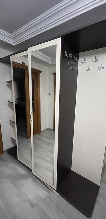 soba borusu: İşlənmiş, 2 qapılı, Güzgülü, Ağ, Kupe, Düz dolab — 1