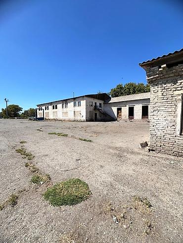 Продажа участков: 250 соток, Красная книга — 1