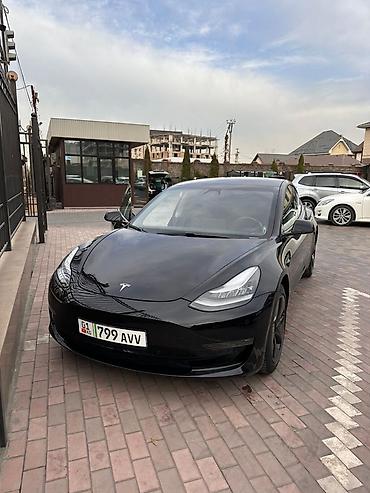 Tesla: Tesla Model 3: 2019 г., Электромобиль, Седан — 4