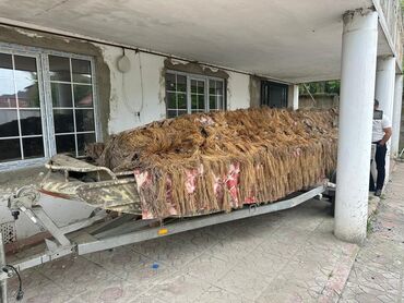 фольксваген 1 9: Mator- Lifan 27 . Ili 2019 cu il . Alinan gunnen cemi 1 defe istifade