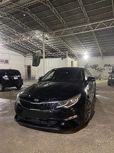 Kia: Kia Optima: 2019 г. — 3