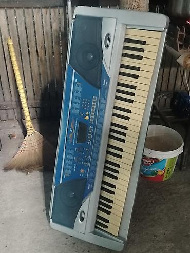 ritm: Elektron sintezator/klaviatura - 61 klavişli klaviatura (tam ölçülü) — 2