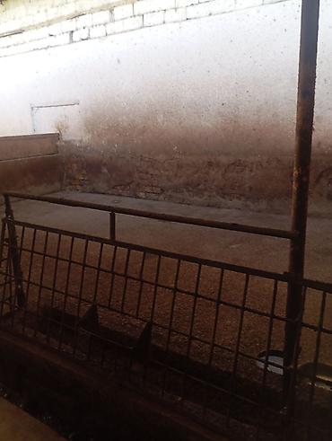 Продажа коттеджей и домов: Продаю два дома на одном участке Рядом с трассой Аэропорта Манас Село — 22