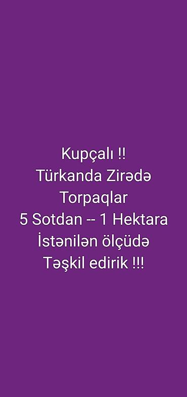 koroglu: 5 sot, Tikinti, Makler, Kupça (Çıxarış), Texniki pasport — 1