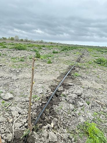 Torpaq sahələrinin satışı: 3000 sot — 4