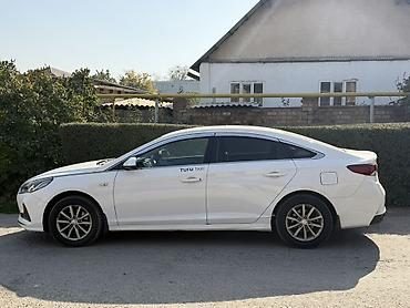 lexus 350 es: Hyundai Sonata: 2020 г., 2 л, Автомат, Газ, Седан — 2