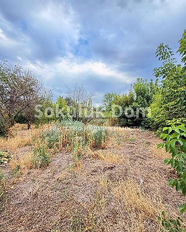 1: 🏠Продается дом в с. Романовка 🟡 Комнаты: 4 🟡 Участок: 15,97 соток — 5