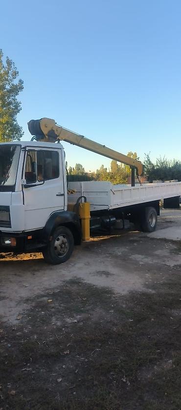 ивеко iveko: Mercedes-Benz Vario: 1996 г., 4.2 л, Механика, Дизель — 4