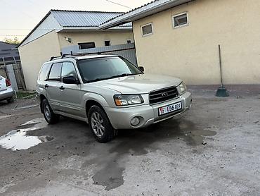 Subaru: Subaru Forester: 2004 г., 2.5 л, Автомат, Бензин, Универсал — 3