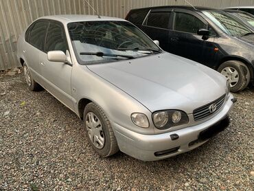 Toyota: Toyota Corolla: 2000 г., 1.4 л, Механика, Бензин, Хэтчбэк