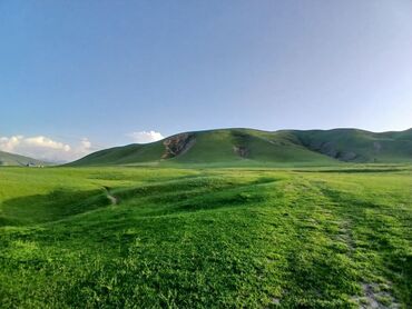 Сельхоз предприятия: Продаю Кошара, 50 соток, Действующий, Без оборудования, Электричество — 14