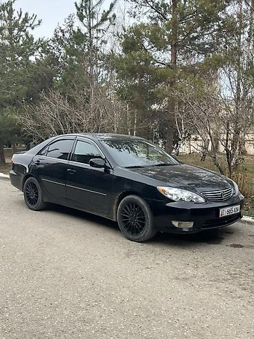 Toyota: Toyota Camry: 2005 г., 2.4 л, Автомат, Бензин, Седан — 8