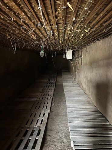 Кампаларды жана устаканаларды ижаралоо: Объездная дорога Бишкек. Сдается склад по хранению грузов и овощей с — 9