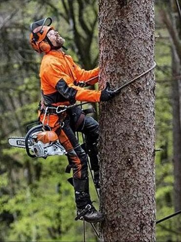 резка по металлу: Профессиональное спиливание деревьев! 🌲 Опасные, старые или мешающие