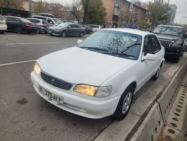 Toyota: Toyota Corolla: 1998 г., 1.3 л, Автомат, Бензин, Седан