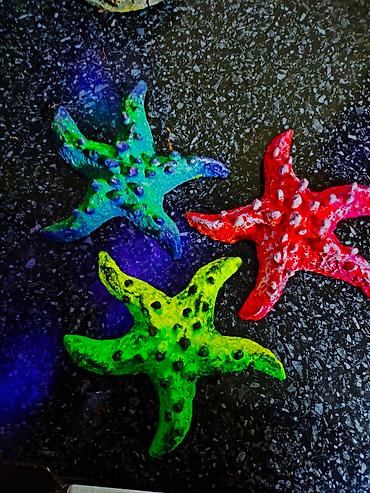 Зоотовары: 🌿 Украшения и декорации для аквариумов и террариумов 🌿 Продаю — 24