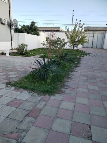 Bağ evlərinin satışı: Bakı, Fatmayı, 140 kv. m, 4 otaqlı, Hovuzsuz, İnternet, Telefon, Qaz -da lalafo.az — 20 Bağ evlərinin satışı: Bakı, Fatmayı, 140 kv. m, 4 otaqlı, Hovuzsuz, İnternet, Telefon, Qaz — 20