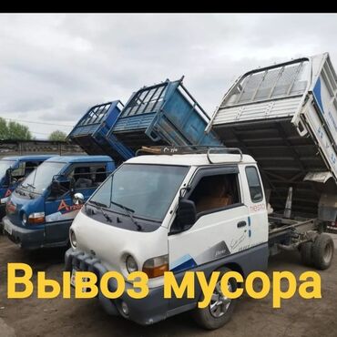 для кошек домик: Вывоз мусора Вывоз мусора 🚛 Вывоз мусора Вывоз мусора 🚚 🚛 Вывоз