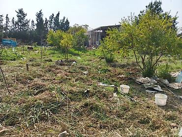 usta isləri: Bağ sahələrinin təmizlənməsi və abadlaşdırılması xidməti Təklif — 8