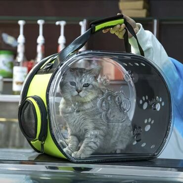 Зоотовары: Зоотовары. 
Авто кормушка и поилка фантан — 13