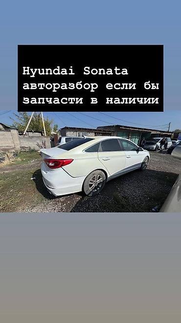 sonata 2012: Авторазбор Hyundai Sonata — запчасти в наличии. Предлагаются — 1