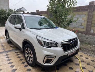 Subaru: Subaru Forester: 2019 г., 2.5 л, Автомат, Бензин, Кроссовер