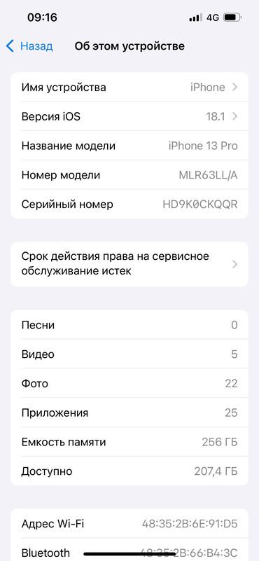 Apple iPhone: IPhone 13 Pro, Б/у, 256 ГБ, Зарядное устройство, Защитное стекло, Чехол, 89 %