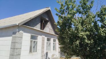дом 45000: Продаётся жилой дом с огороженным двором и хозпостройками. Основные