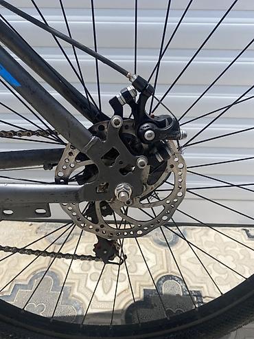 Dağ velosipedləri: Velocruz VE2909 dağ velosipedi - Çərçivə: polad/alüminium qarışıq — 10