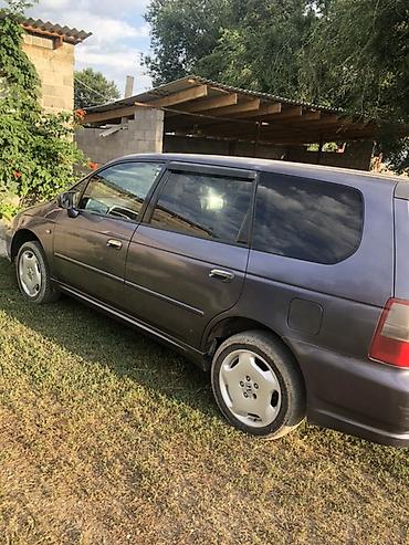 volkswagen b3: Honda Odyssey: 2001 г., 2.3 л, Автомат, Бензин, Минивэн — 2