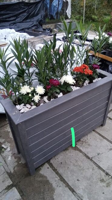 Bitkilər üçün dibçəklər: Dibçək Taxta dekorativ çiçək yeşikləri – bağ, terras, eyvan və — 4