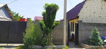 швейная машина оверлок: Үй, 50 кв. м, 3 бөлмө, Менчик ээси, Косметикалык оңдоо
