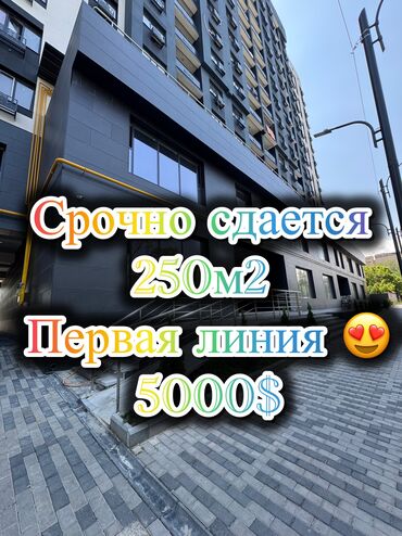 купить поле для посева: Сдаю Офис, 250 м², В жилом комплексе, 1 линия