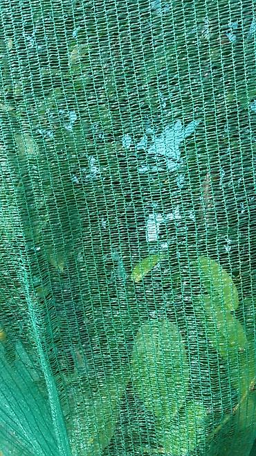 Защитные сетки от птиц: Защитные сетки от птиц, Самовывоз — 8